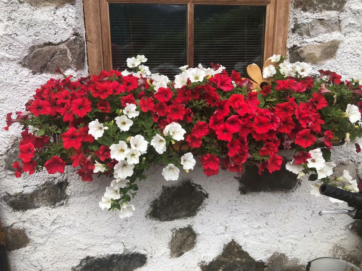 Ferienwohnung Cesa Mia Campitello di Fassa Exterior foto